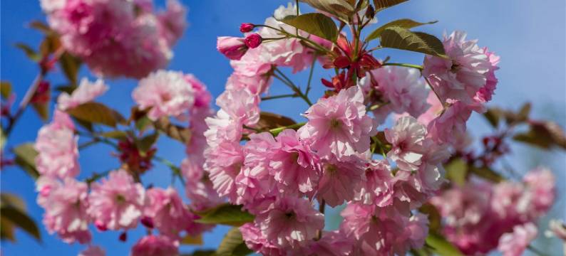 湖畔山公寓(锦湖大道分店)图片