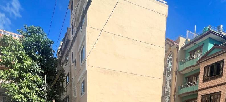 脚踏实地酒店(Hotel down to Earth)图片