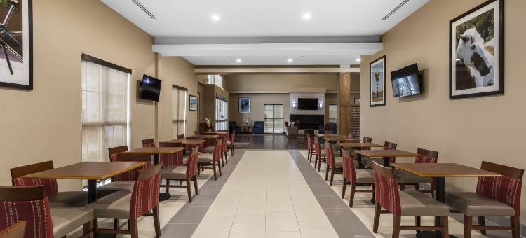 舒适套房酒店-大学(Comfort Suites - University)图片