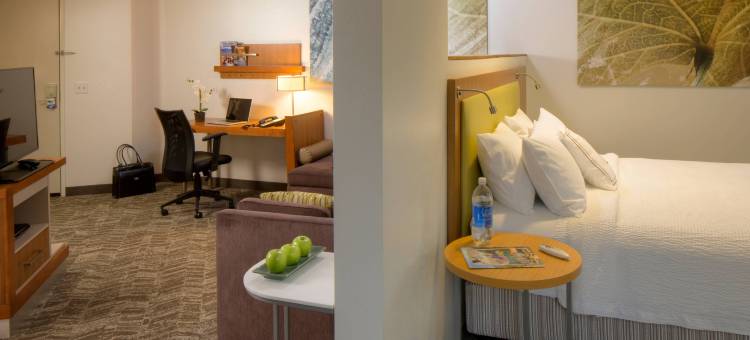 安克雷奇大学湖万豪SpringHill酒店(SpringHill Suites Anchorage University Lake)图片