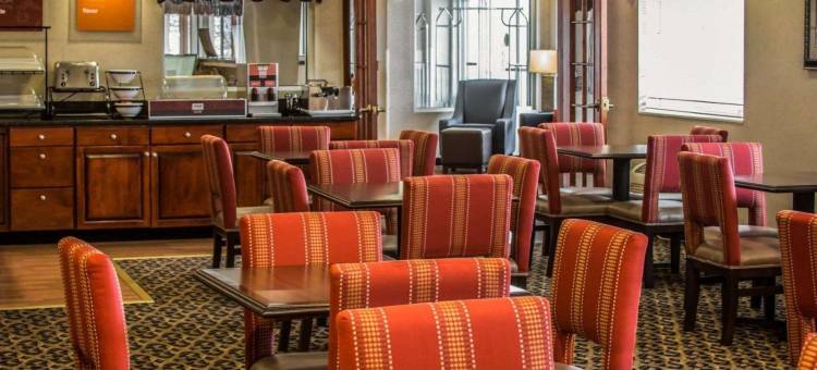 迪蒙代尔舒适套房酒店(Comfort Inn & Suites Dimondale - Lansing)图片