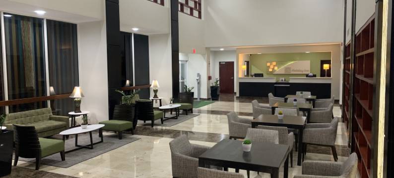 Holiday Inn 马亚圭斯和热带娱乐场(Holiday Inn MAYAGUEZ & TROPICAL CASINO by IHG)图片