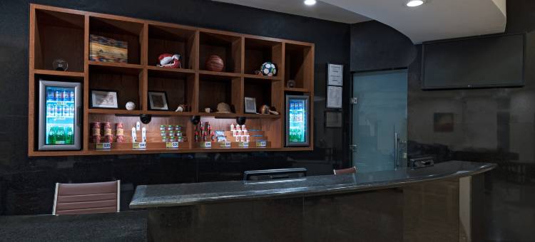 蒙特雷琳达维斯塔福朋喜来登酒店(Four Points by Sheraton Monterrey Linda Vista)图片