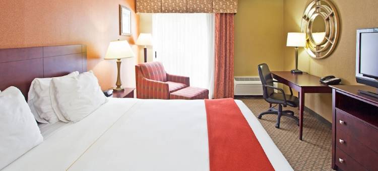 Holiday Inn Express 清水东 - ICOT中心(Holiday Inn Express Clearwater East - Icot Center)图片