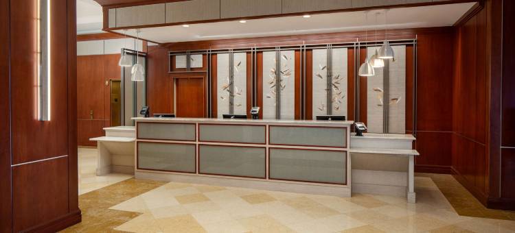 圣彼得堡卡里永希尔顿酒店(Hilton St. Petersburg Carillon Park)图片