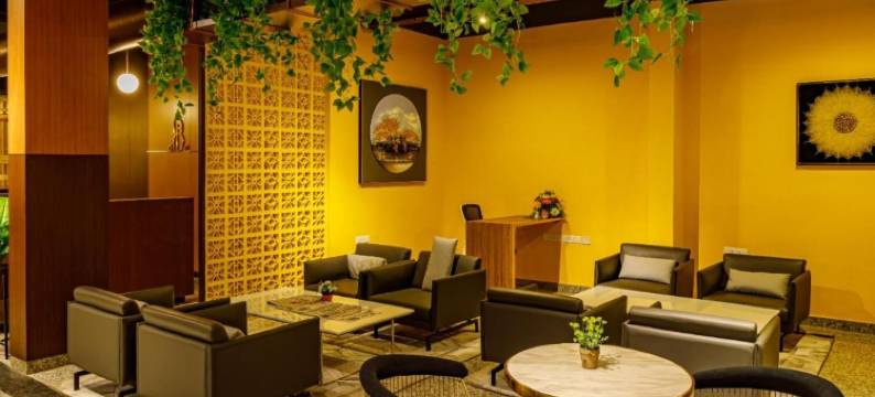 Benale International图片