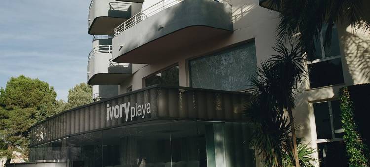 象牙海滩运动&水疗酒店(Hotel Ivory Playa Sports & Spa)图片