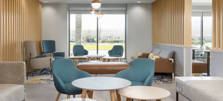 普莱森顿城市套房酒店(TownePlace Suites Pleasanton)图片