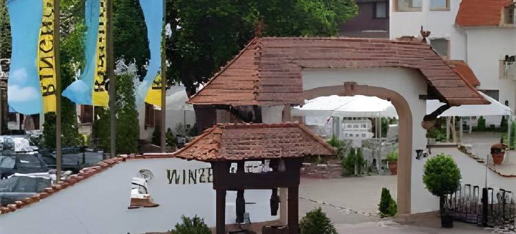 文泽霍夫酒店(Ringhotel Winzerhof)图片