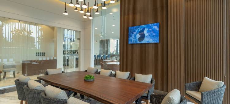 纳沃霍亚假日酒店(Holiday Inn NAVOJOA by IHG)图片