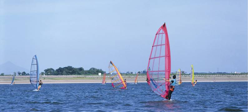 古河中央酒店(Koga Central Hotel)图片