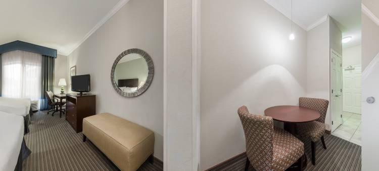 智选假日套房酒店新伊比利亚 - 艾利岛(Holiday Inn Express & Suites New Iberia-Avery Island)图片