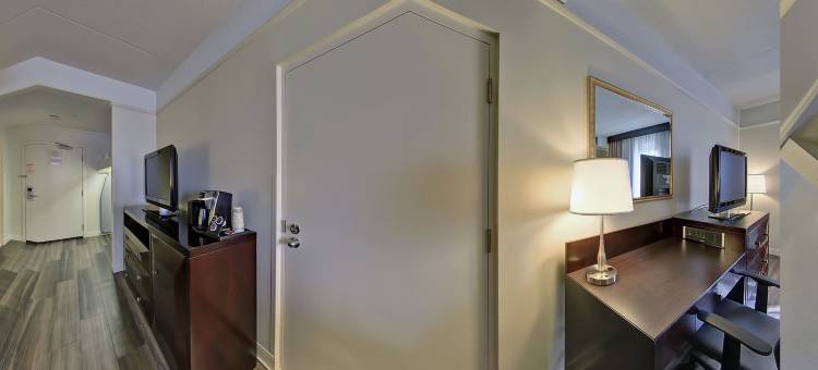 Holiday Inn & Suites 温莎(大使桥) by IHG(Holiday Inn & Suites Windsor (Ambassador Bridge) by IHG)图片