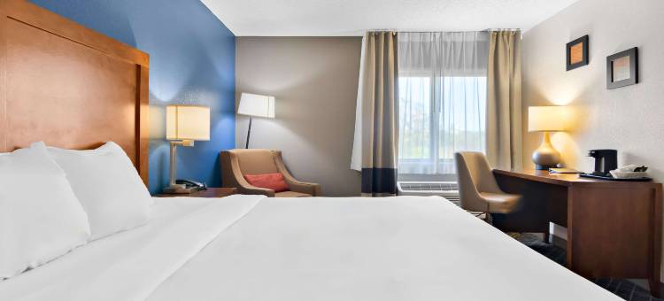 舒适酒店乔利特西 I-80(Comfort Inn Joliet West I-80)图片