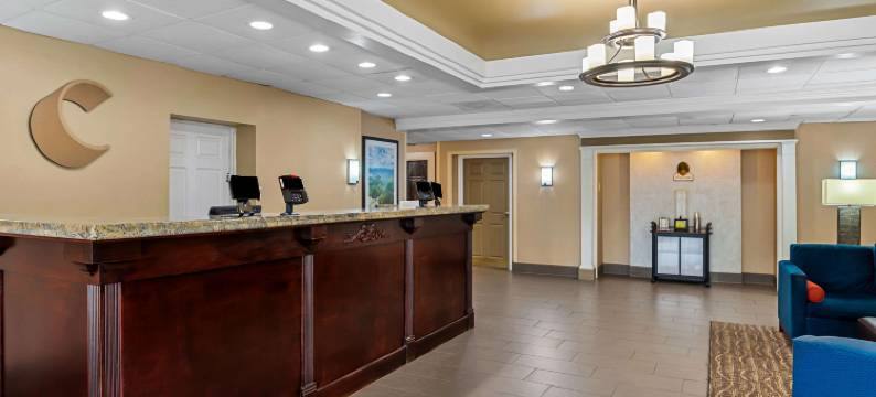 舒适套房酒店(Comfort Inn & Suites)图片