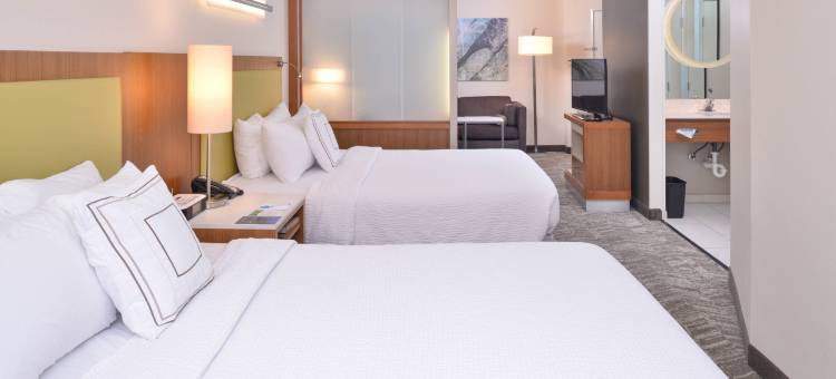 亨德森拉斯维加斯SpringHill Suites 酒店(SpringHill Suites Las Vegas Henderson)图片