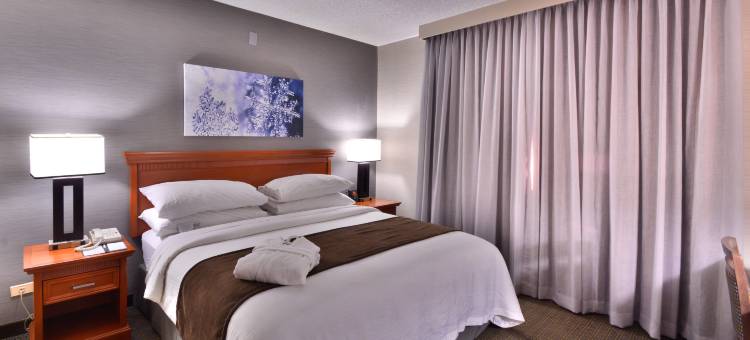 丹佛中央公园希尔顿安泊套房酒店(Embassy Suites by Hilton Denver Central Park)图片