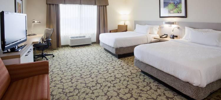 明尼阿波利斯伊根希尔顿花园酒店(Hilton Garden Inn Minneapolis Eagan)图片