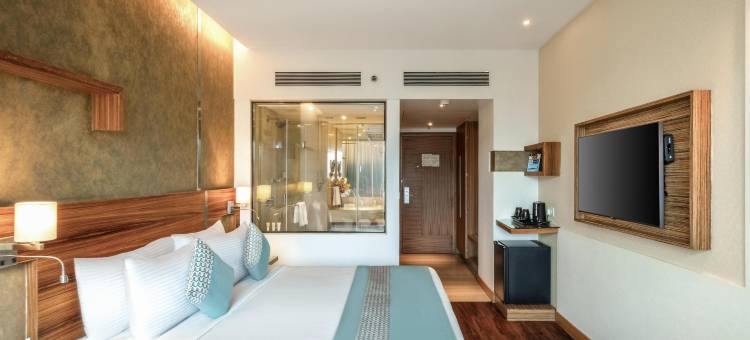 浦那萨亚伊酒店(Sayaji Pune)图片