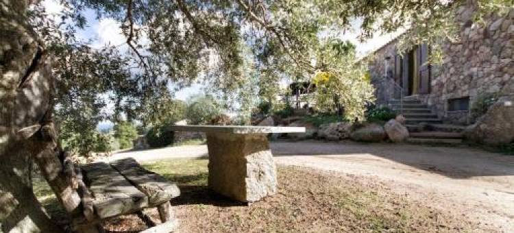 Stazzu Martina图片