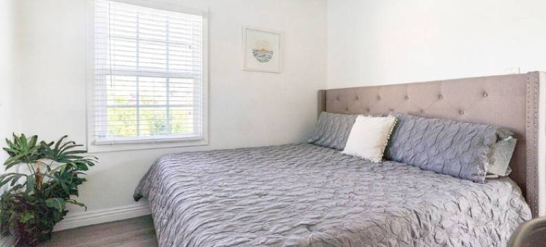 Naples Island Pool House图片