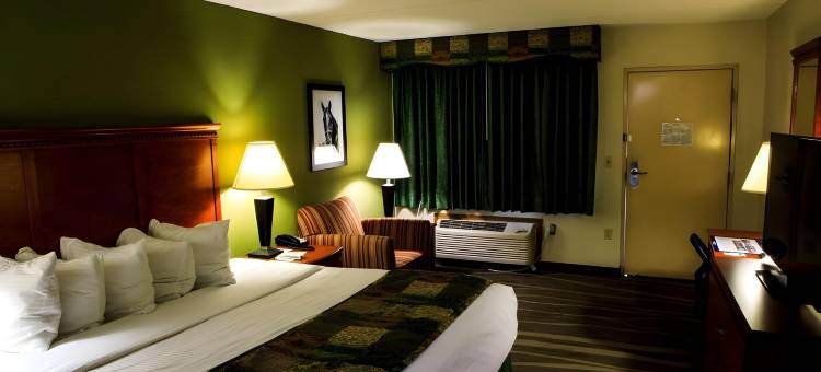 庆典贝斯特韦斯特套房酒店(Best Western Shelbyville Inn and Suites Celebration Inn)图片