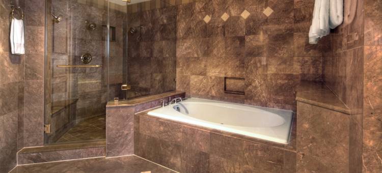 休斯顿威斯契斯希尔顿酒店(Hilton Houston Westchase)图片