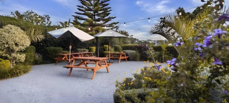 圣克里斯托瓦尔精品酒店(San Cristobal Boutique Hotel - Ivato Airport)图片