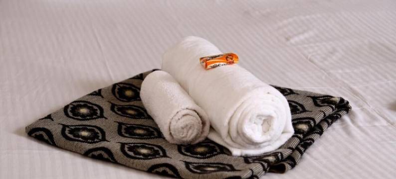 阿提提酒店(Atithi Lodge)图片