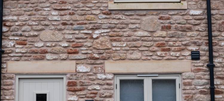 羊和企鹅(The Sheep and Penguin)图片