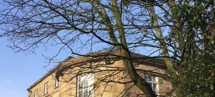 蒙特酒店(The Mount)图片