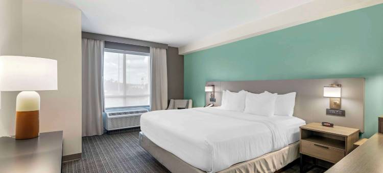 舒适套房酒店(Comfort Suites)图片