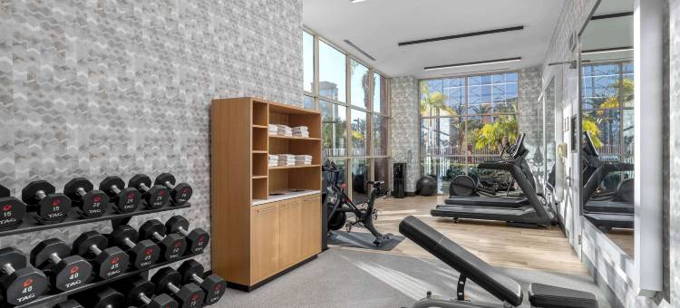南安纳海姆希尔顿大使套房酒店(Embassy Suites by Hilton Anaheim South)图片