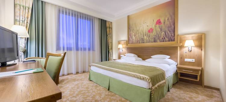 索棱霍夫酒店(Hotel Sonnenhof)图片