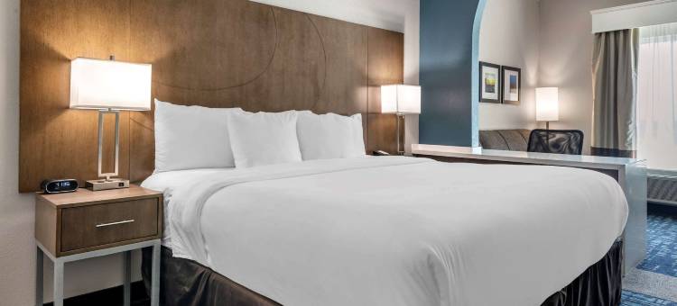 罗德岱尔堡机场-邮轮码头舒适套房酒店(Comfort Suites Fort Lauderdale Airport & Cruise Port)图片