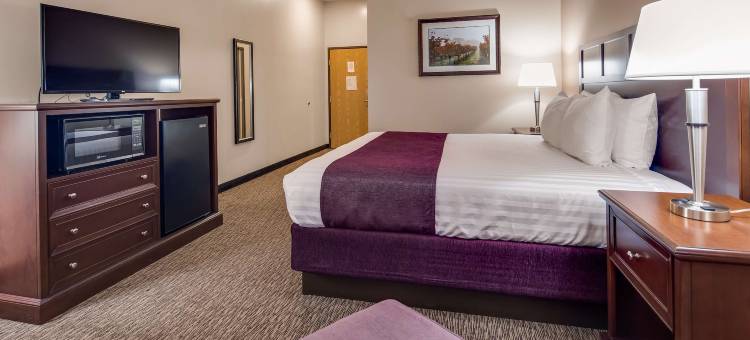 葡萄藤贝斯特韦斯特优质酒店(Best Western Plus Grapevine Inn)图片