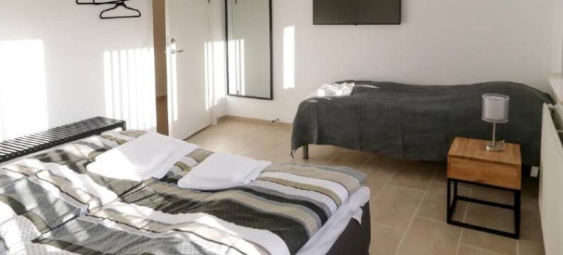 伊凯斯特酒店(Hotel Ikast)图片