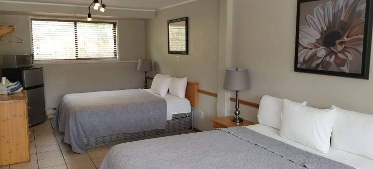 奥索尤斯湖景酒店和套房(Osoyoos Lakeview Inn & Suites)图片
