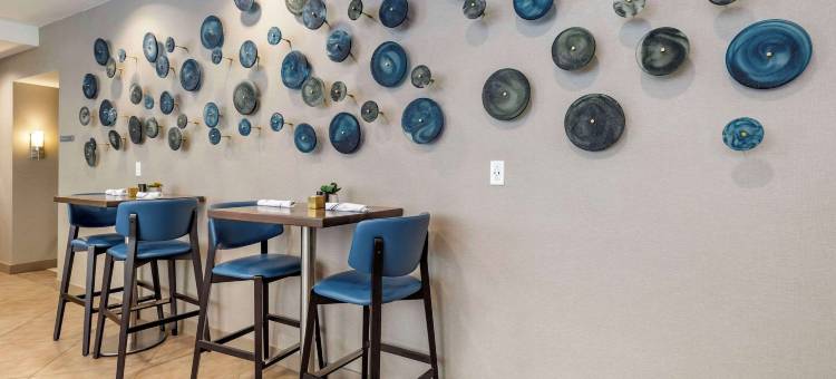 洛克维尔坎布里亚酒店(Cambria Hotel Rockville)图片