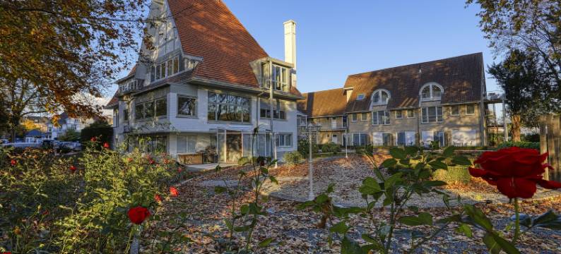 维厄赛德勒旅馆酒店(Auberge du Vieux Cedre, Enghien-Belgique)图片