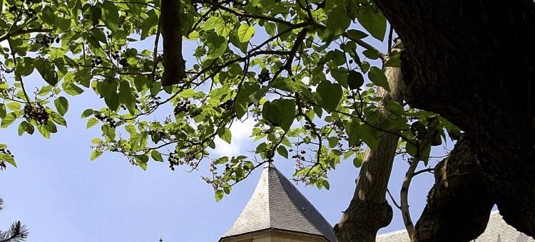 塞尔吉圣克里斯托弗宜必思快捷酒店(Ibis Budget Cergy St Christophe)图片