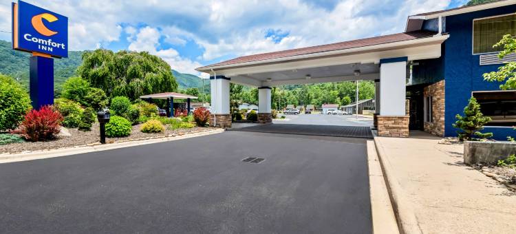 大烟山国家公园附近舒适酒店(Comfort Inn Near Great Smoky Mountain National Park)图片