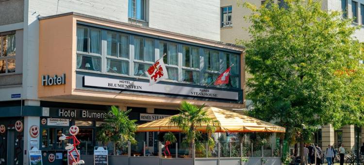 布卢门施泰因酒店(Hotel Blumenstein Self-Check IN)图片
