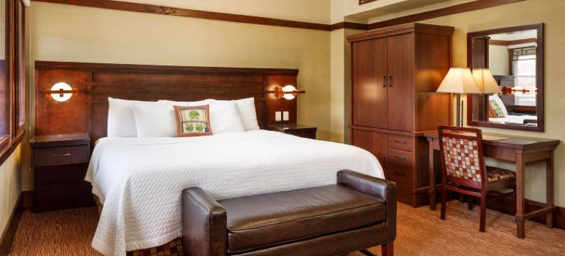 历史公园旅馆酒店(The Historic Park Inn Hotel)图片