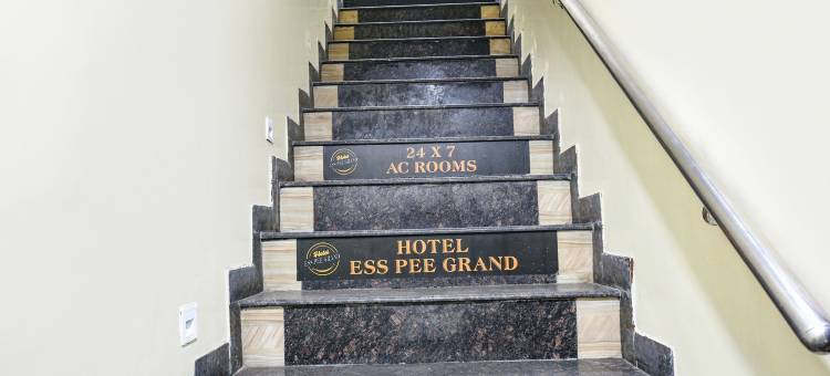 缤旅埃斯皮大酒店(FabHotel Ess Pee Grand)图片