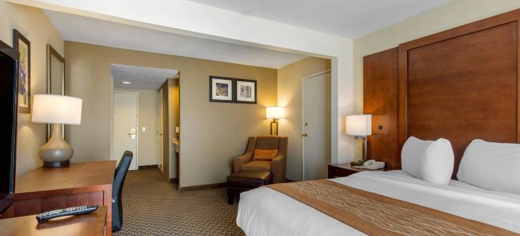 西南休斯顿舒格兰舒适套房酒店(Comfort Inn & Suites SW Houston Sugarland)图片