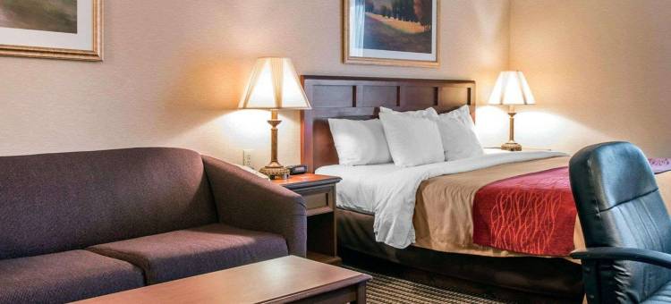 Wingate by Wyndham Livonia图片