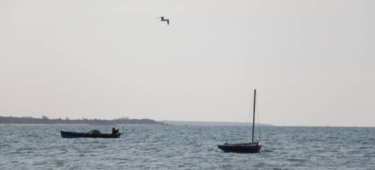 茵迪柯生态别墅 - 度假村及水疗中心郊外小屋(Villas do Indico Eco - Resort & Spa Lodge)图片