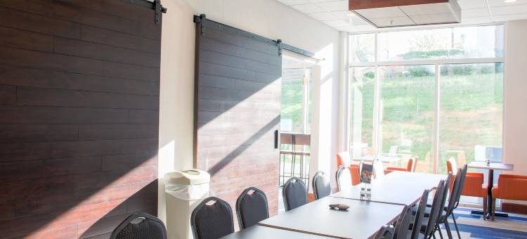 智选假日套房酒店-丹维尔(Holiday Inn Express & Suites Danville)图片