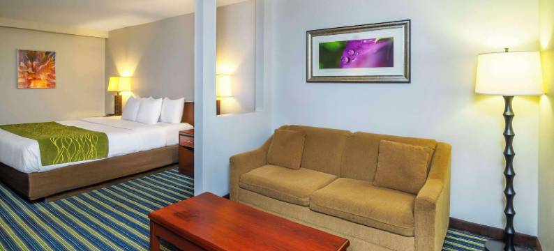 舒适套房酒店(Comfort Inn & Suites)图片